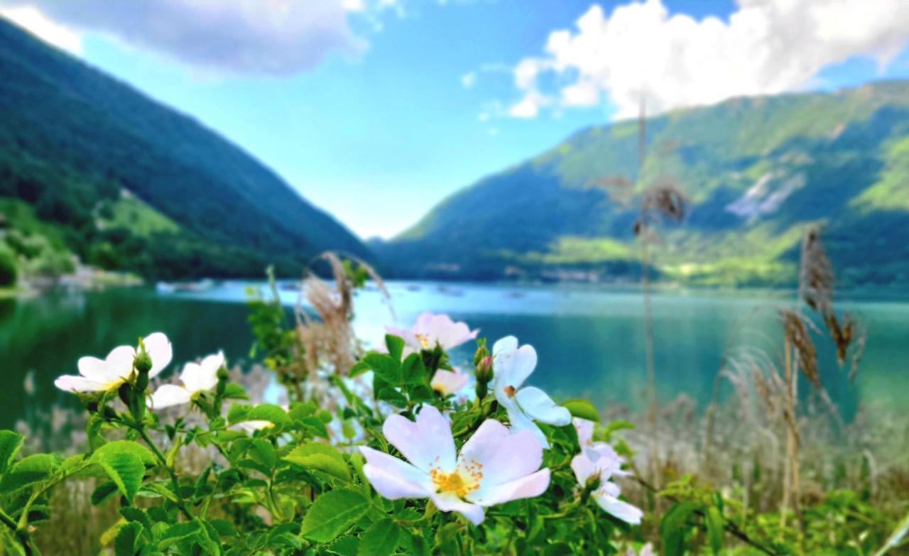 Emozioni Al Lago Farra d'Alpago Exterior photo